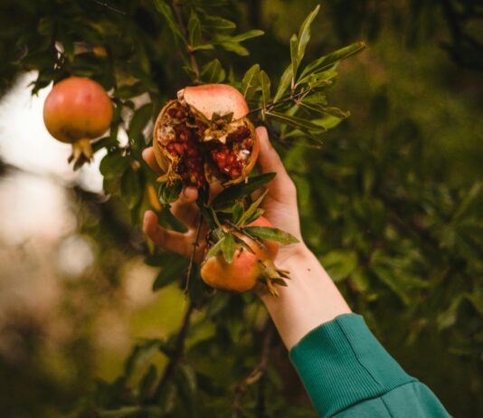 Dwp Pip Payments: How To Maximise Your Benefits With Expert Tips Home