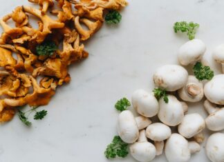 Ninja Dual Air Fryer: Discover The Ultimate Healthy Cooking Secret