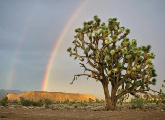 Tottenham Vs AZ Alkmaar: Thrilling Clash Promises Stunning Football