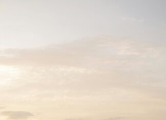 Justin Thomas Professional Golfer: Secrets Behind His Winning Game