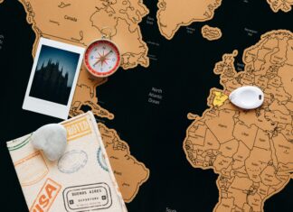 South Africa Vs United States: Which Destination Offers More Adventure?