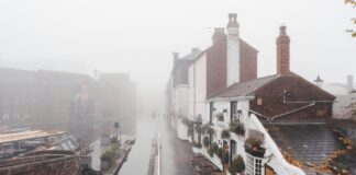 Birmingham City FC News: Uncover Shocking Updates and Insider Secrets Home