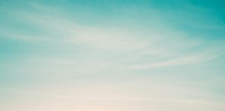 West Indies Vs England: Who Will Dominate This Epic Cricket Clash? Home