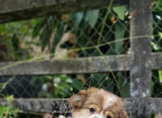 Inside Out Characters: Discover The Secrets Behind Their Emotions