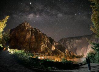 Cast Of Celebrity Bear Hunt: Discover The Stars Behind The Adventure