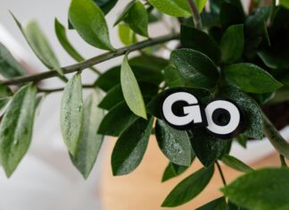 When Do The Clocks Go Forward? Discover The Surprising Facts