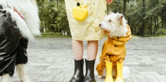 Man City Vs Nottm Forest: Thrilling Clash You Can’t Miss Today Home