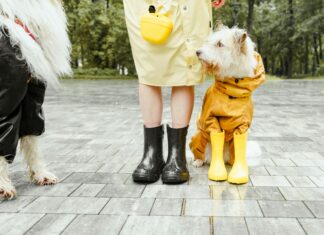 Man City Vs Nottm Forest: Thrilling Clash You Can’t Miss Today