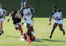 South Africa Vs New Zealand: Which Team Dominates Rugby Glory?