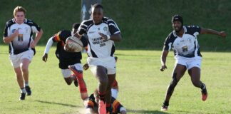 South Africa Vs New Zealand: Which Team Dominates Rugby Glory? Home