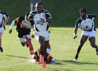 South Africa Vs New Zealand: Which Team Dominates Rugby Glory?