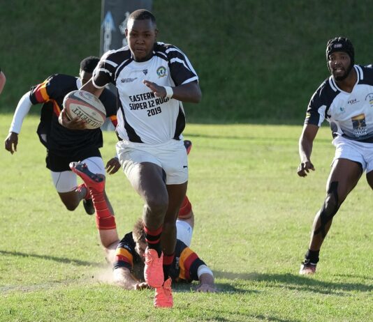 South Africa Vs New Zealand: Which Team Dominates Rugby Glory?