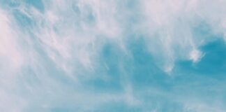 Tui Plane Low Fuel Crisis: What Really Happens Mid-Flight? Home