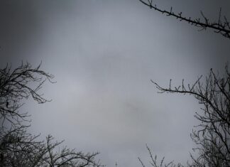 UK Snow Storms Are Forecasted Late January: What You Need to Know