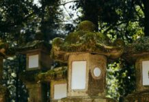 What Does Fein Mean? Discover The Surprising Origins And Uses Home