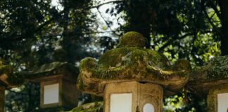 What Does Fein Mean? Discover The Surprising Origins And Uses Home