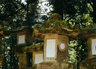 What Does Fein Mean? Discover The Surprising Origins And Uses