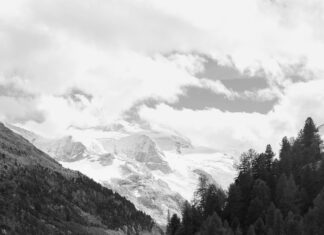 Nottm Forest Vs Southampton: Who Will Triumph in This Epic Clash?