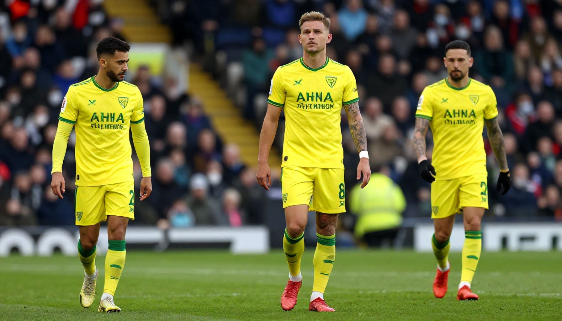 The Truth About Canaries' Form: Can Norwich City End Their Slump Against Leeds United?